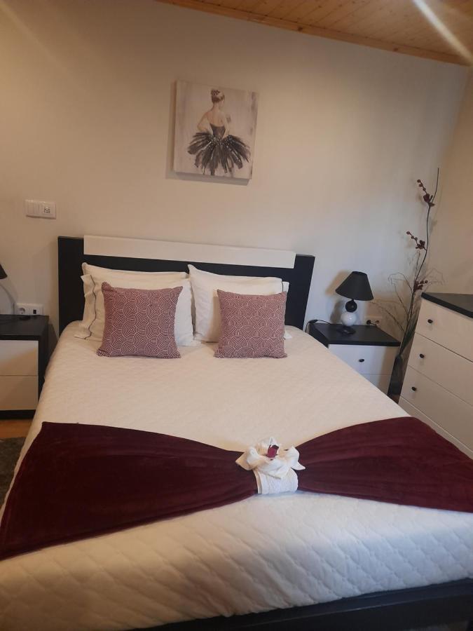 Pelourinho Appartement Melo